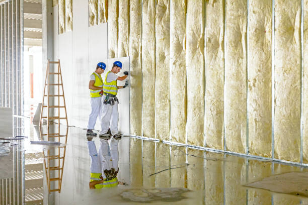 Best Insulation Maintenance and Repair in Glen Alpine, NC